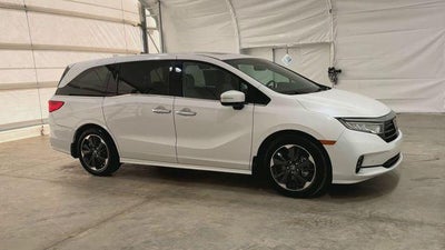 2024 Honda Odyssey Elite